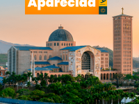 SAMACAHE_SITE_NOVO03.1